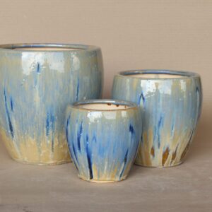 حوض نباتات